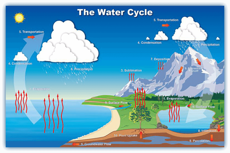 The Water Cycle