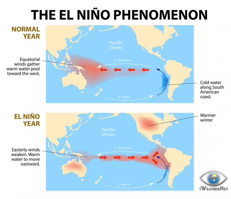 What is El Niño? This illustration shows what a typical event looks like.