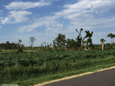 Chapman tornado damage